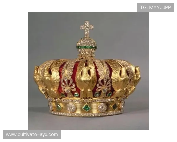 法国足球甲级联赛的荣耀征程与豪门风云全景透视传奇与未来发展趋势探析