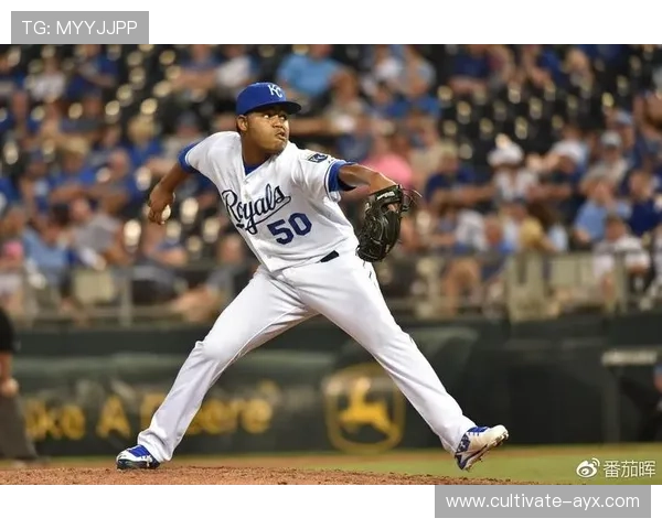 步行者队重建之路：年轻核心崛起与未来前景展望