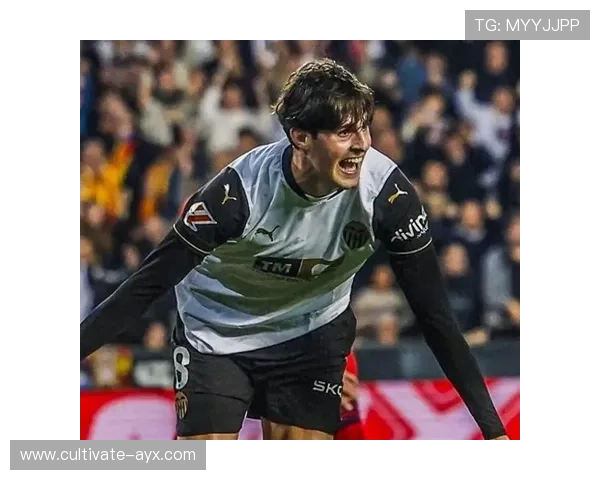 瓦伦西亚俱乐部迎来赛季关键变革与未来布局展望新帅上任引援策略升级