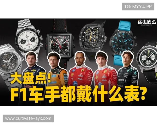 F1赛季最新动态解析赛车队策略与车手表现全记录