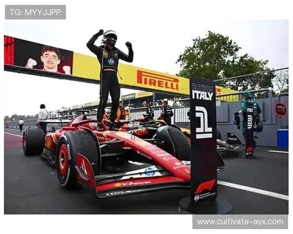 F1赛季最新动态揭晓各车队策略与车手竞技风采分析