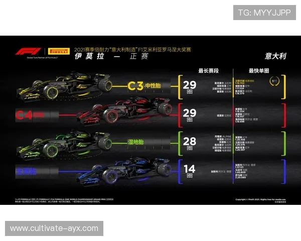 F1赛季最新战况揭秘各车队策略与赛道表现分析