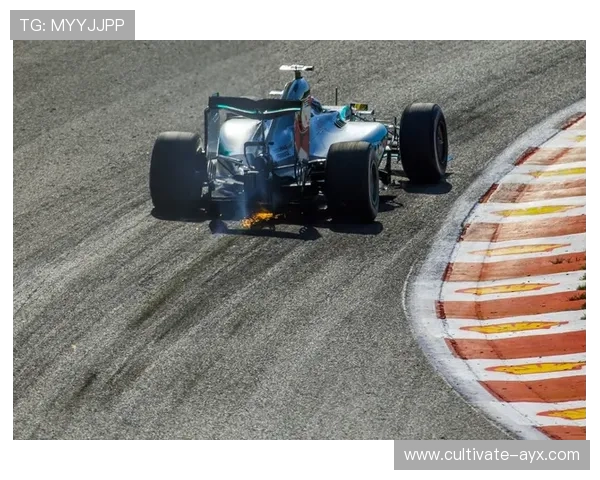 F1赛季激战正酣 车队动态与车手表现引发热议 F1赛季激战正酣 车队动态与车手表现引发热议
