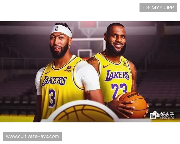 NBA最新动态：詹姆斯携手戴维斯引领湖人重返总决赛争冠行列