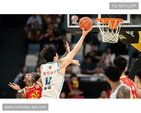 全新赛季篮球联赛战况激烈 球员表现出彩 热点话题持续升温