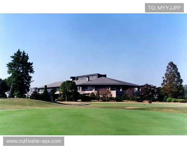 卡迪夫城俱乐部发展历程与未来战略全面解析 卡迪夫城俱乐部发展历程与未来战略全面解析