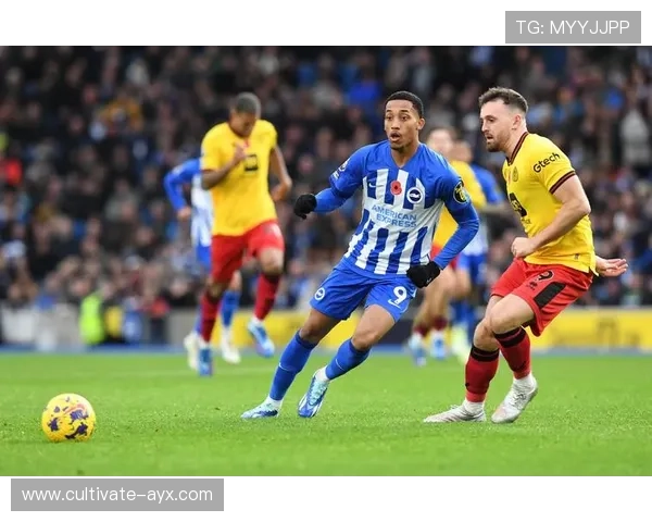 布莱顿足球俱乐部崛起之路:从英超新军到欧洲赛场的奋斗与突破 布莱顿足球俱乐部崛起之路:从英超新军到欧洲赛场的奋斗与突破