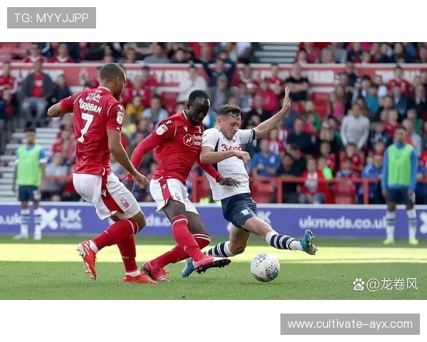 世界杯焦点战前瞻：各豪门球队备战策略与关键球员解析