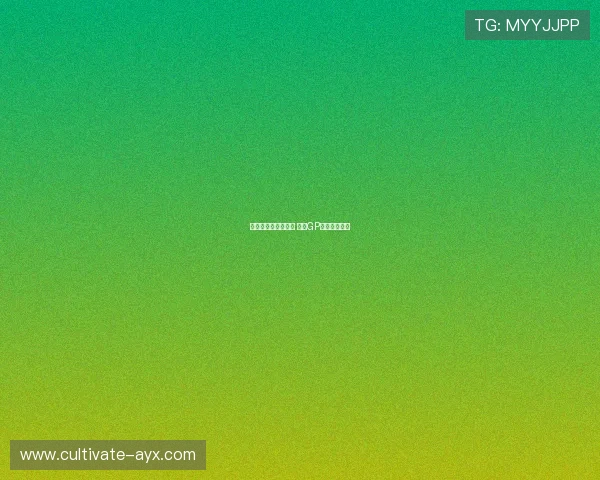 法尔加率队再创佳绩 摩托GP赛季激战正酣