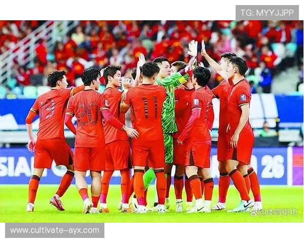 激情四射的世界杯比赛直播，全程解说精彩瞬间不停歇