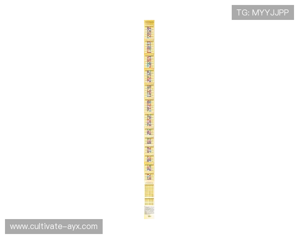 粤超最新赛程前瞻：明日对阵一览与关键球员关注点分析