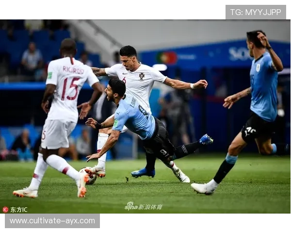 荷兰世界杯征程回顾与精彩瞬间全景解析