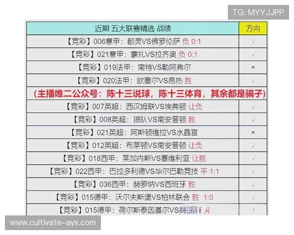 德甲最新战报解析：多特蒙德与拜仁竞争激烈形势分析