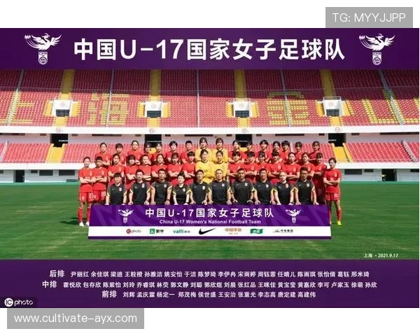 北京市足球联赛全年度赛程安排与精彩对阵解析