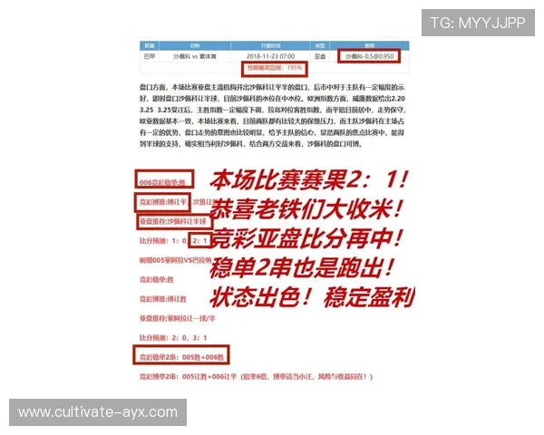 西甲联赛最新赛程与比分实时动态全面解析
